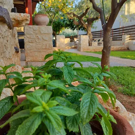 Georgeshousesmani Casa rural Riglia