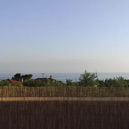 Georgeshousesmani Riglia